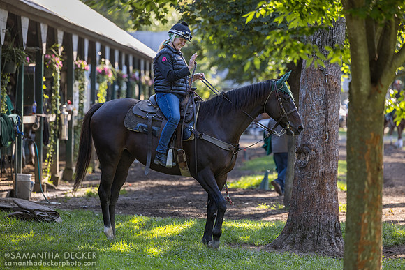 Susie Alexander on a pony at the Mott barn