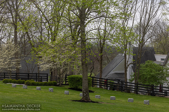 Cemetery, Taylor Made Farm, Nicholasville
