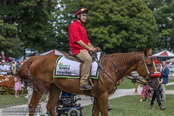 Pony dressed up for Travers