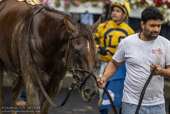Bank Frenzy wins the Evan Shipman H.