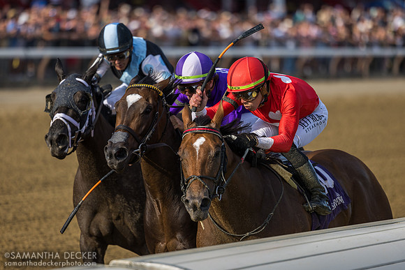 Halina's Forte wins the Galway S.