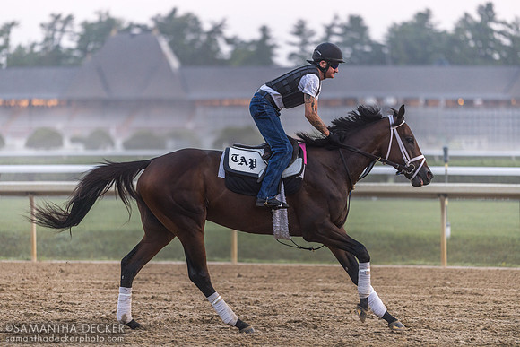Danny Wright rides Fierceness