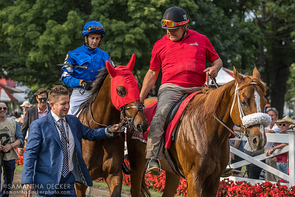 Silver Knott, winner of the Bowling Green S.