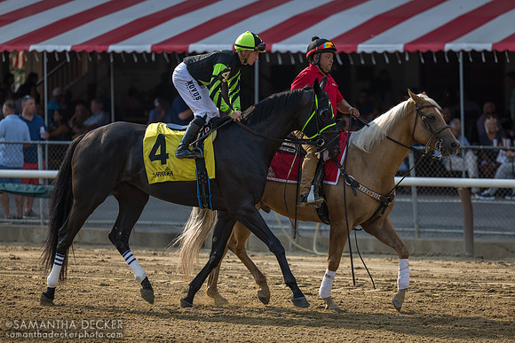 Jackson Heights, winner of R8