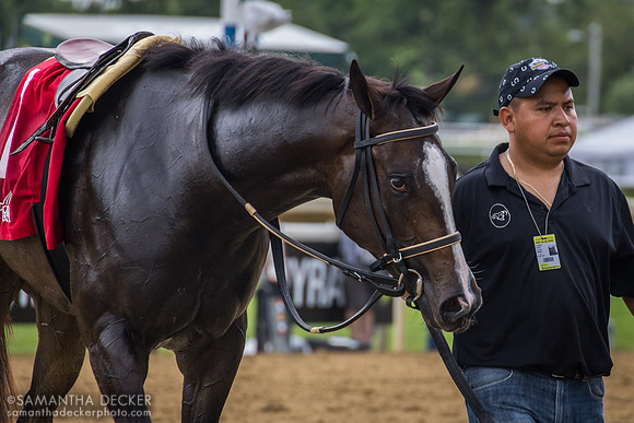 Whatintheliteral wins the Astoria Stakes