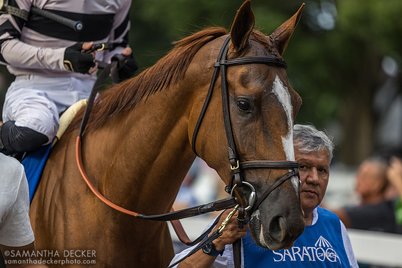 Raging Sea, winner of the Personal Ensign