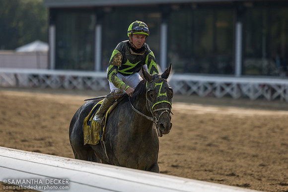 Jackson Heights, winners of R8