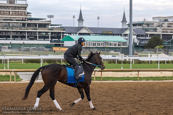 Wilson Fabian on a Steve Asmussen trainee, Churchill Downs, 2025