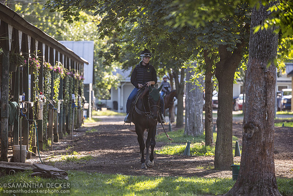 Susie Alexander on a pony at the Mott barn