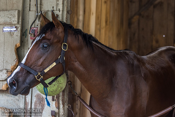 Resistance Futile, Bruce Brown barn