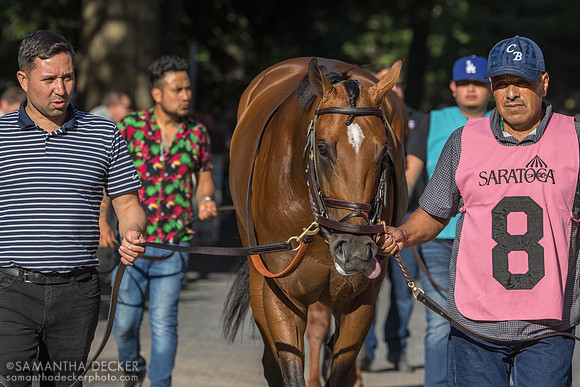 Chancer McPatrick, winner of the Hopeful