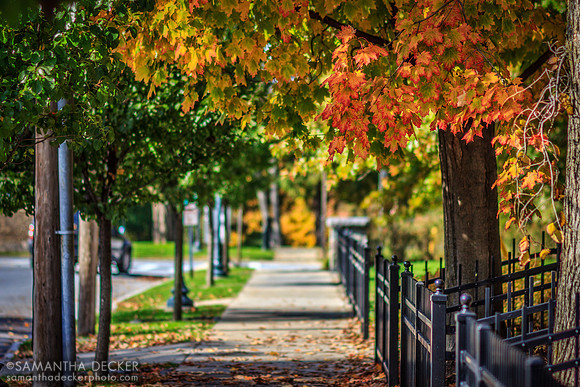 Union Avenue, Saratoga Springs, 2012