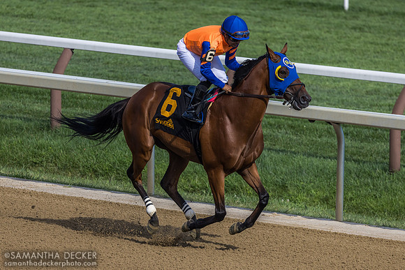 Printrack, winner of R11