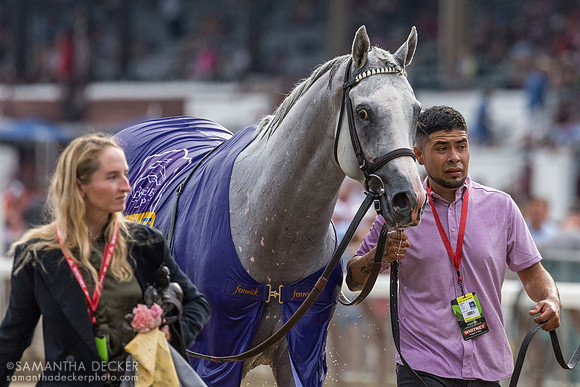 Arthur's Ride heads to the test barn