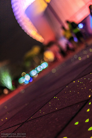 Fiber Optic Lights, EPCOT