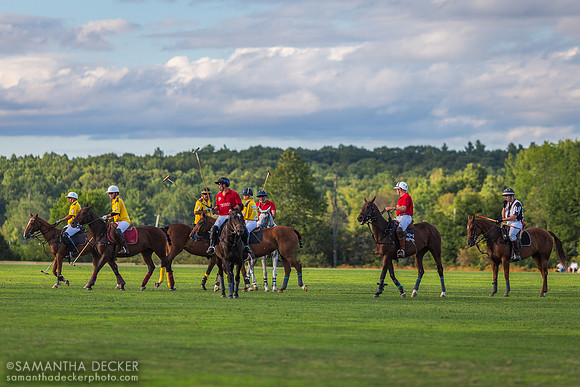 Saratoga Polo Match