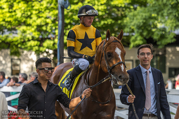 Carson's Run, winner of the Saratoga Derby