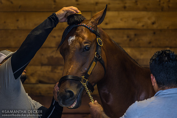 201 gets groomed