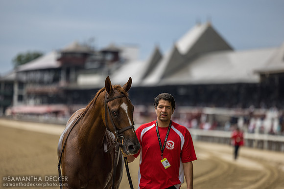 Trail of Gold, winner of R1