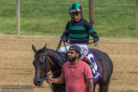 Reining Flowers wins R6