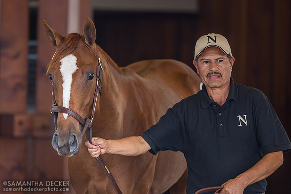 2023 Improbable filly out of Golden Mystery