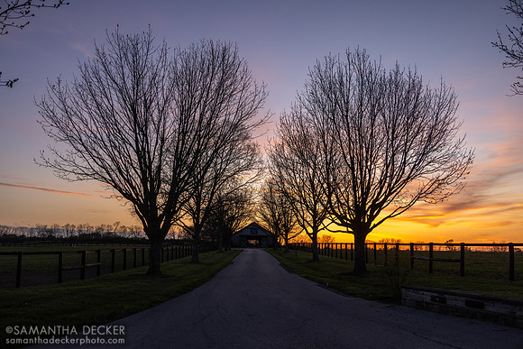 Denali Stud, Paris, KY