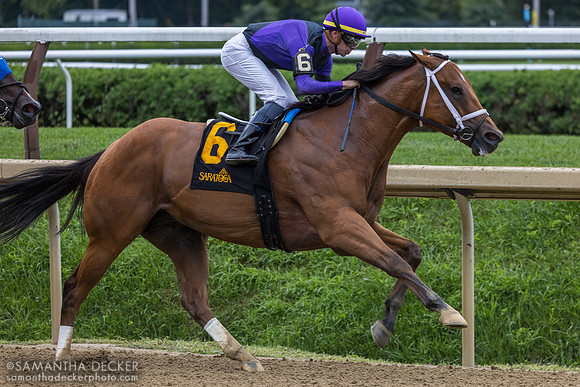 Looms Boldly wins the John Morrissey H.