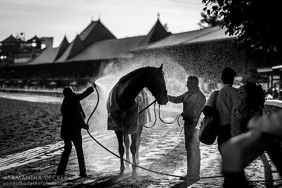 Olympiad wins the Grade I Jockey Club Gold Cup