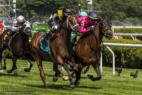 Clear Conscience wins the Kingston