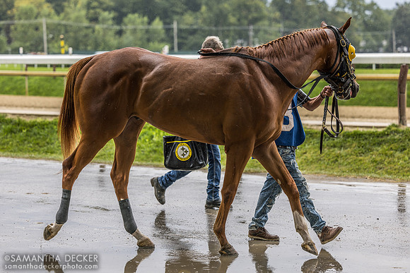 Legitimize, winner of R2