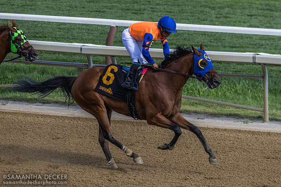 Printrack wins R11