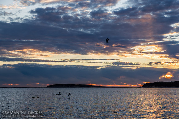 Last sunset of 2024 at Mayo Beach, Wellfleet, MA