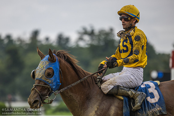 Bank Frenzy wins the Evan Shipman H.