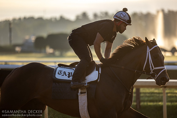 Carlos Quevedo rides Kingsbarns