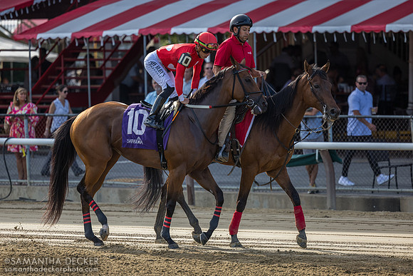 Halina's Forte, winner of the Galway S.