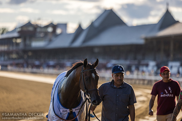 Chancer McPatrick heading to the test barn