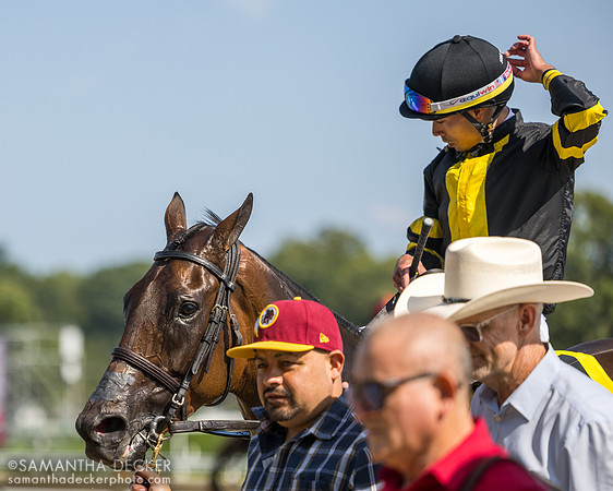 Clear Conscience wins R8