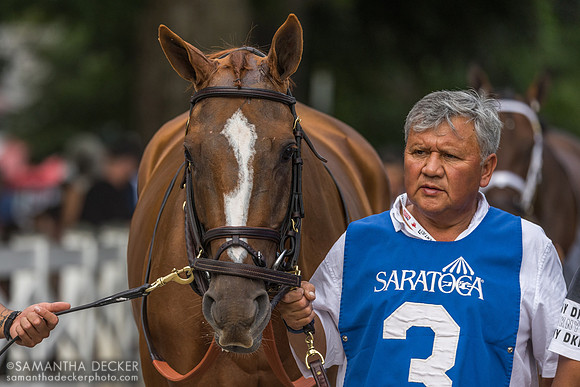 Raging Sea, winner of the Personal Ensign
