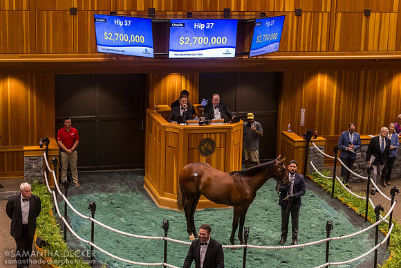 2024 Gun Runner - America colt sells for $2.7 million, 2025