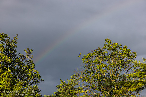 Rainbow over the paddock before the Saratoga Derby