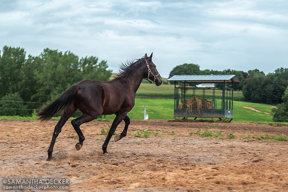 Mill Creek Farm