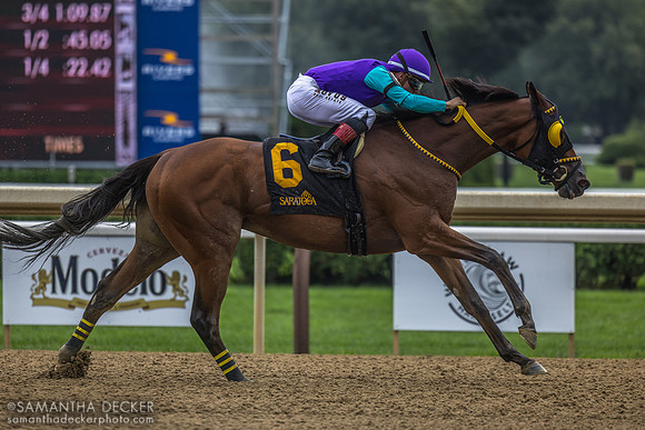 Nelson Avenue wins R5
