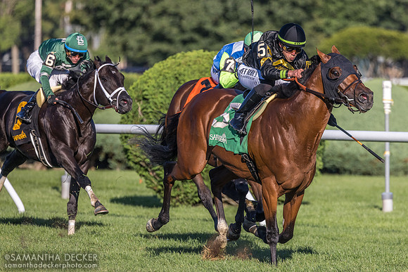 Running Bee wins the Bernard Baruch