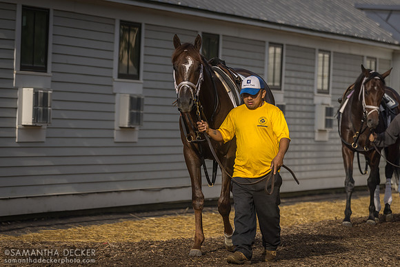 Pletcher barn 5.17.24