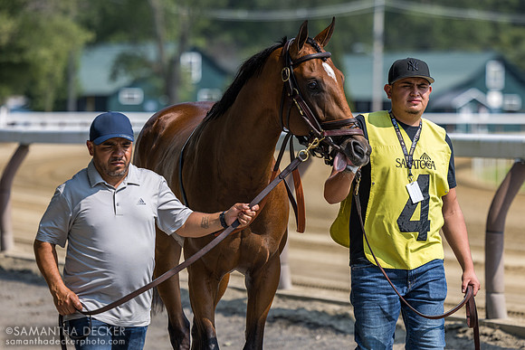 Chancer McPatrick, winner of R7