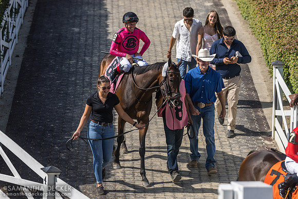 Dylan Davis on Full Screen, heading out to the track for R8