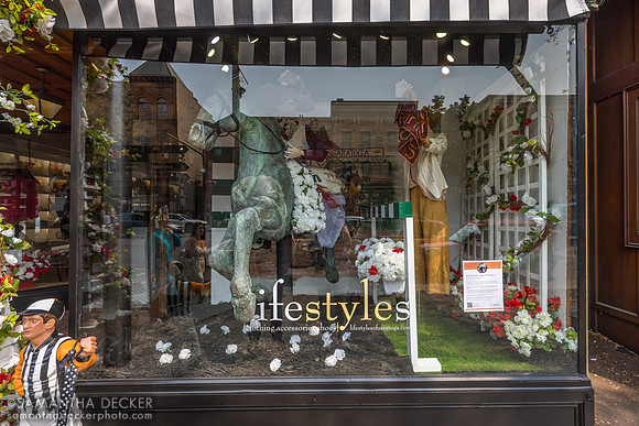 Lifestyles of Saratoga