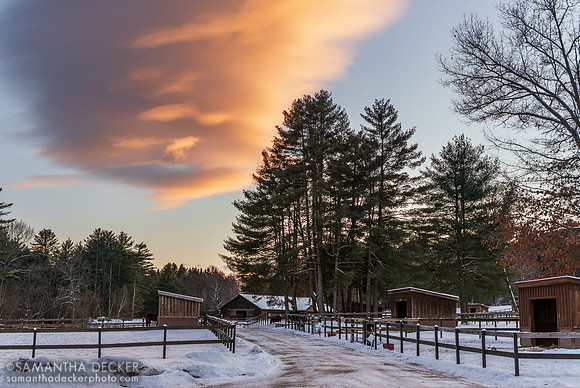 Winter at Old Friends at Cabin Creek, 2024