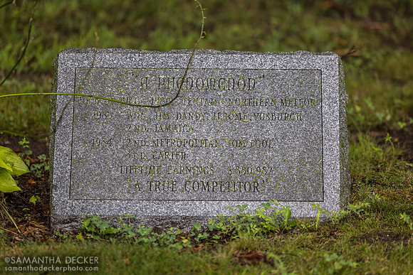 A Phenomenon grave - if you ever have a need for this