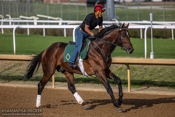 Bendoog, Churchill Downs, 2025